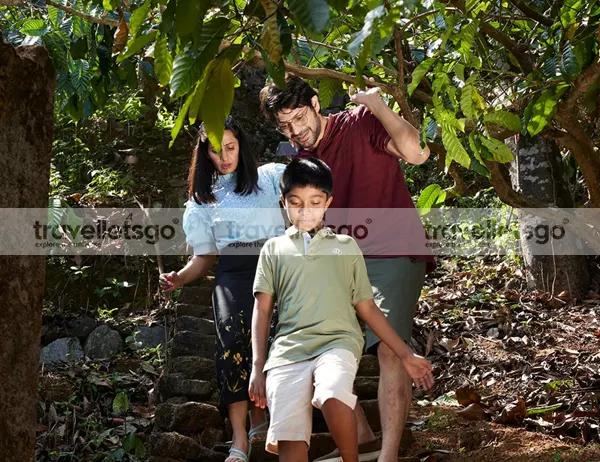 kerala b2b tour operators