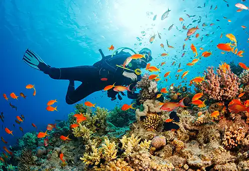 lakshadweep scuba diving booking online