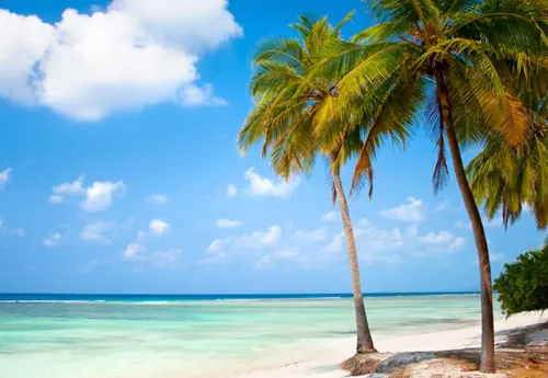 Thinnakara islands day trip booking agency